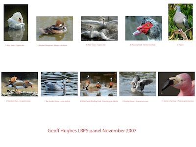 Geoff Hughes